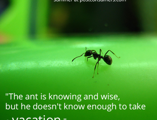 Favorite Summer Quotes: The Failure of Ants