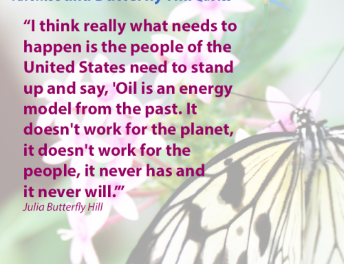 Favorite Julia Butterfly Hill Quotes: Stand Up Against Oil