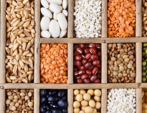 Combatting GMOs by Storing Your Own Seeds