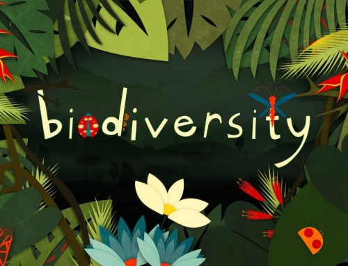 Favorite Biodiversity Quotes: The Past and the Future