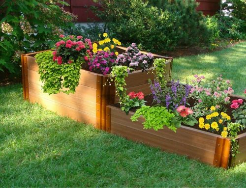 How to Make Your Own Raised Garden Bed